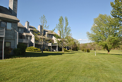 Chalet High Resort Buildings